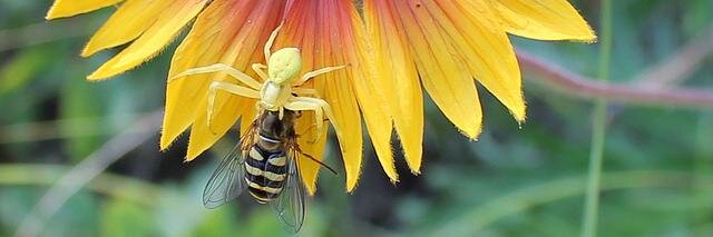 InvertEco's profile banner image