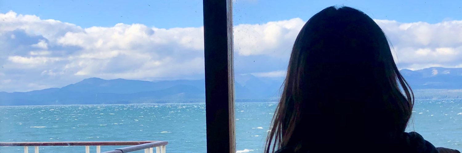 Candecarin's profile banner image