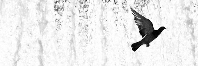 k_olh's profile banner image