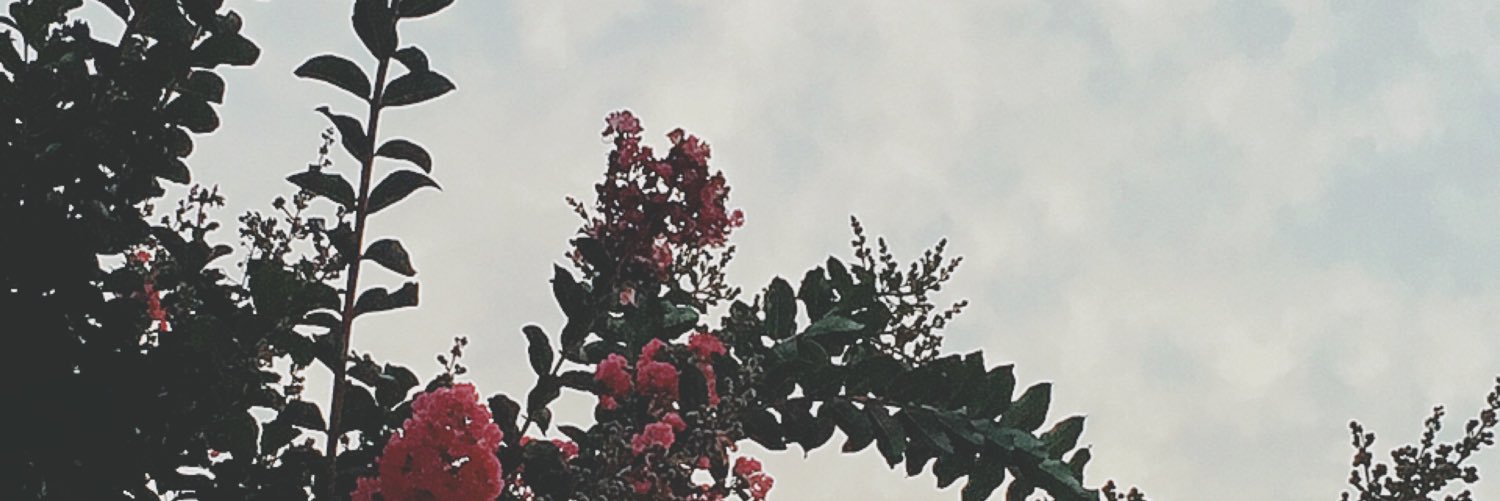 akiiin8's profile banner image
