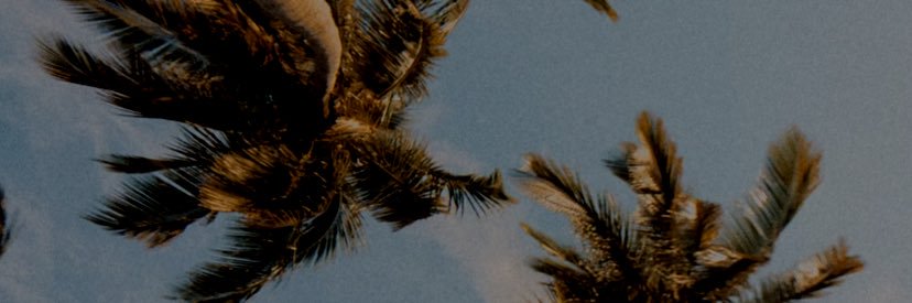 maddy_mccall's profile banner image