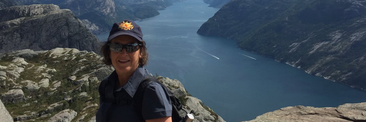 LeeAnne Layden banner