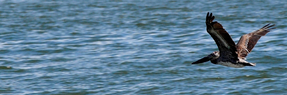 cnelly30's profile banner image