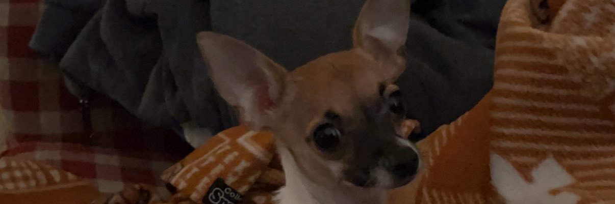 _MarissaJustine's profile banner image