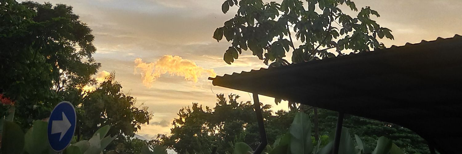 matchaxyookie's profile banner image