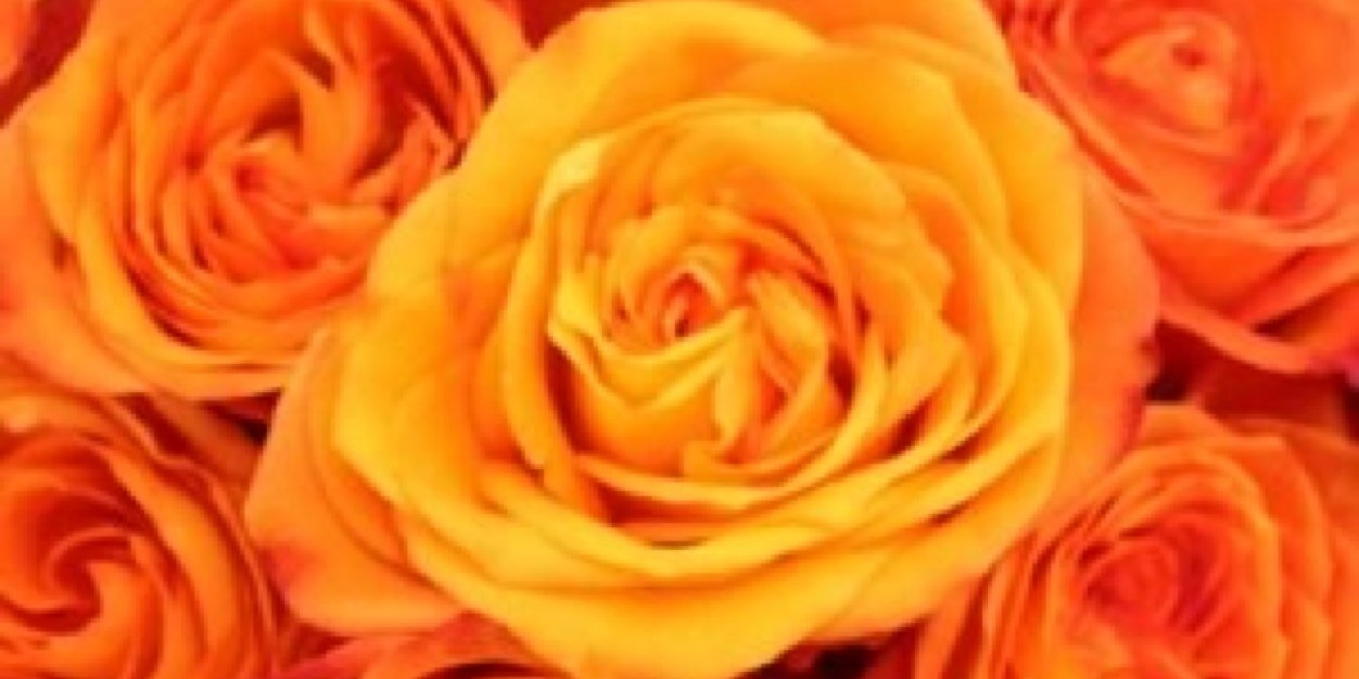 D Carman banner