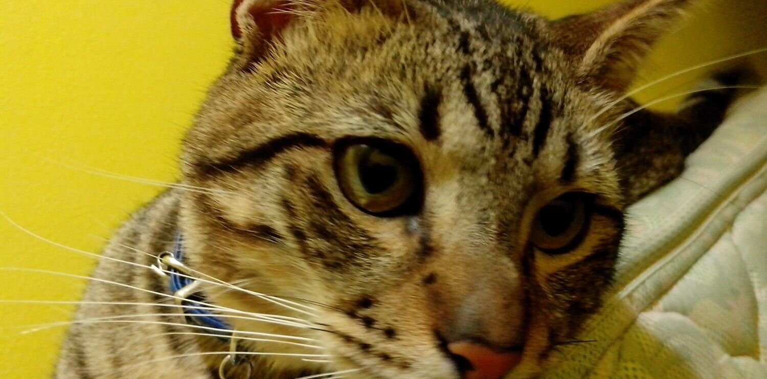 zner69's profile banner image
