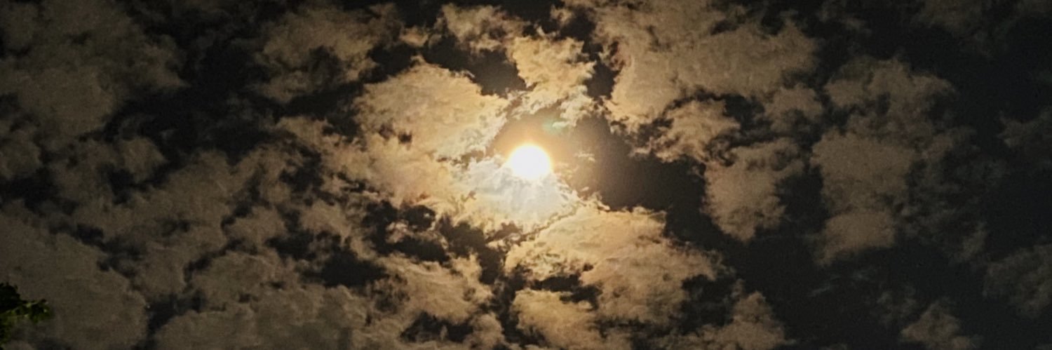 evamostafam's profile banner image
