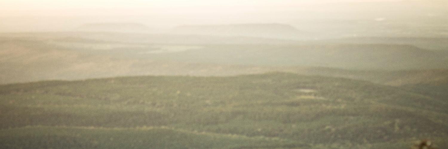 joeyharbert's profile banner image