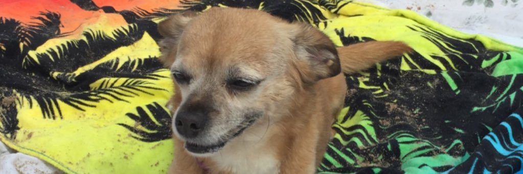 urmowgrl banner