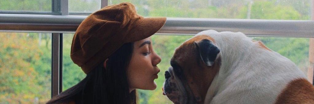 laurachh1998's profile banner image