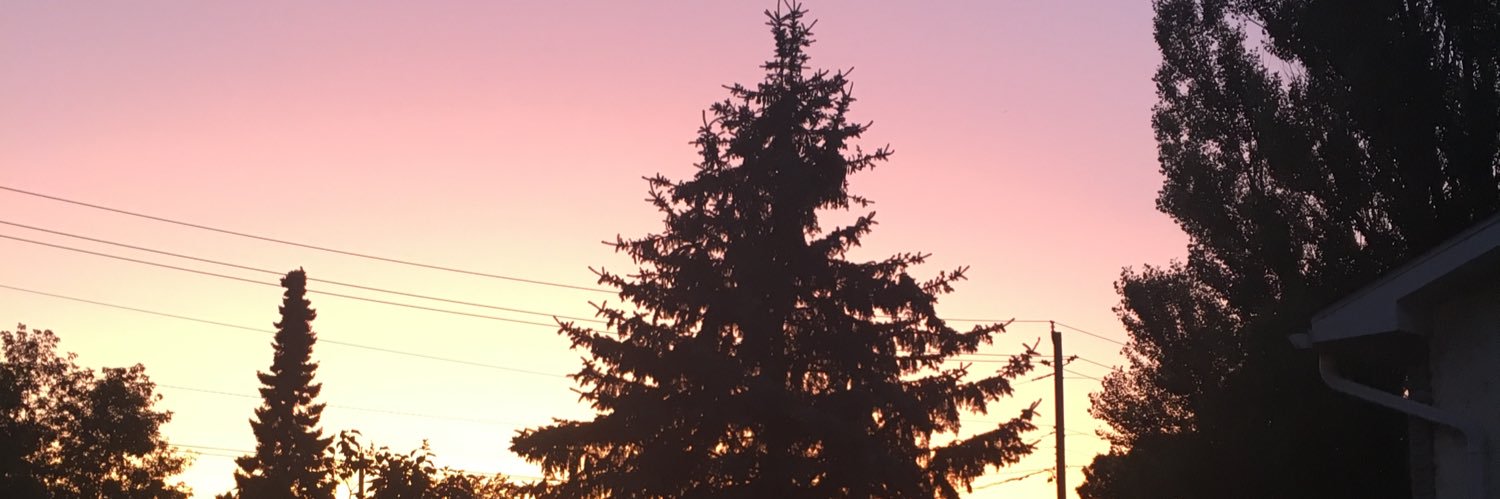 librarianishly's profile banner image