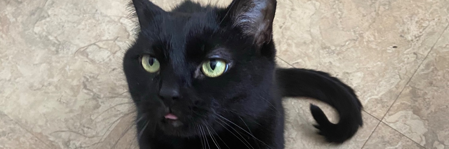 savannah barron. banner