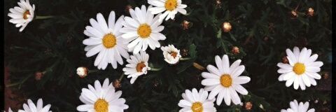 gmap_'s profile banner image