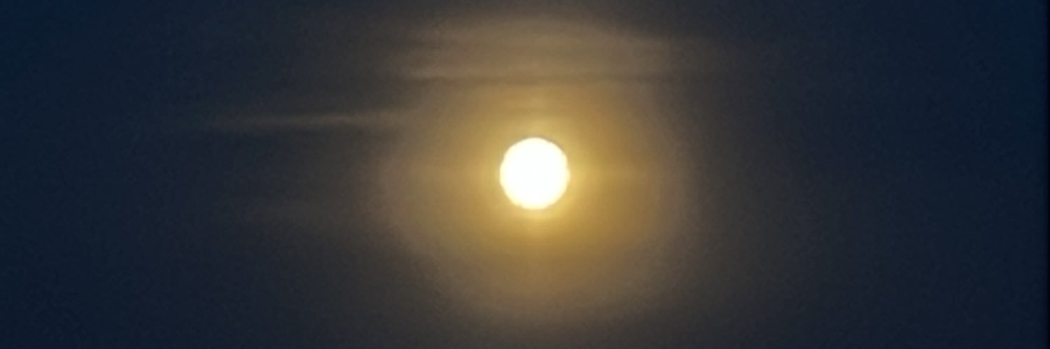 Fernando Sánchez banner