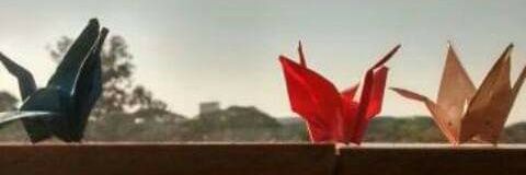 ThamySilvaM's profile banner image