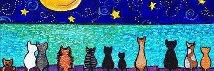 JeaStefania's profile banner image