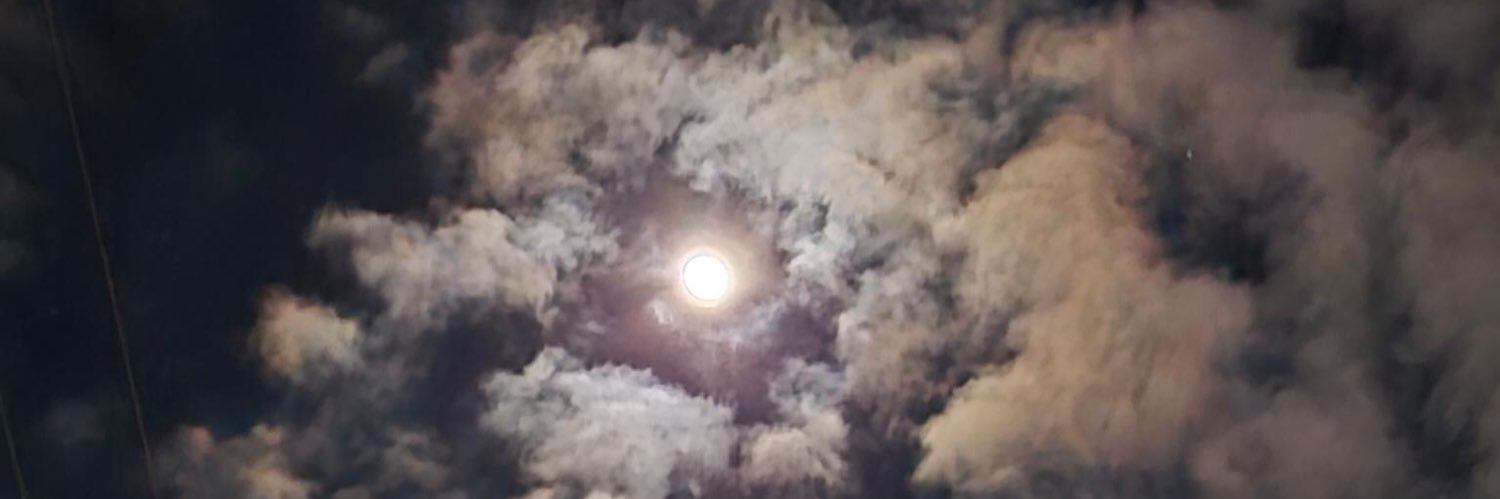 Stacy Mc Cune banner