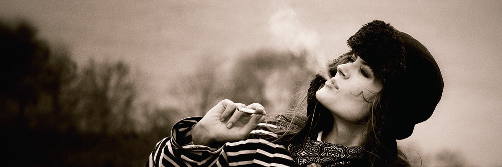 eleven red pandas banner