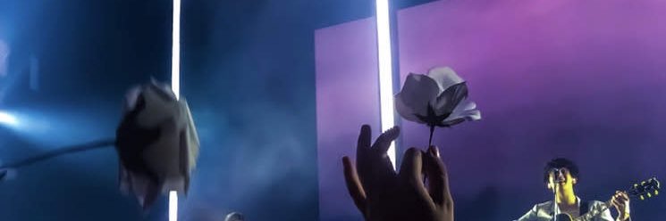 Iumerpa's profile banner image