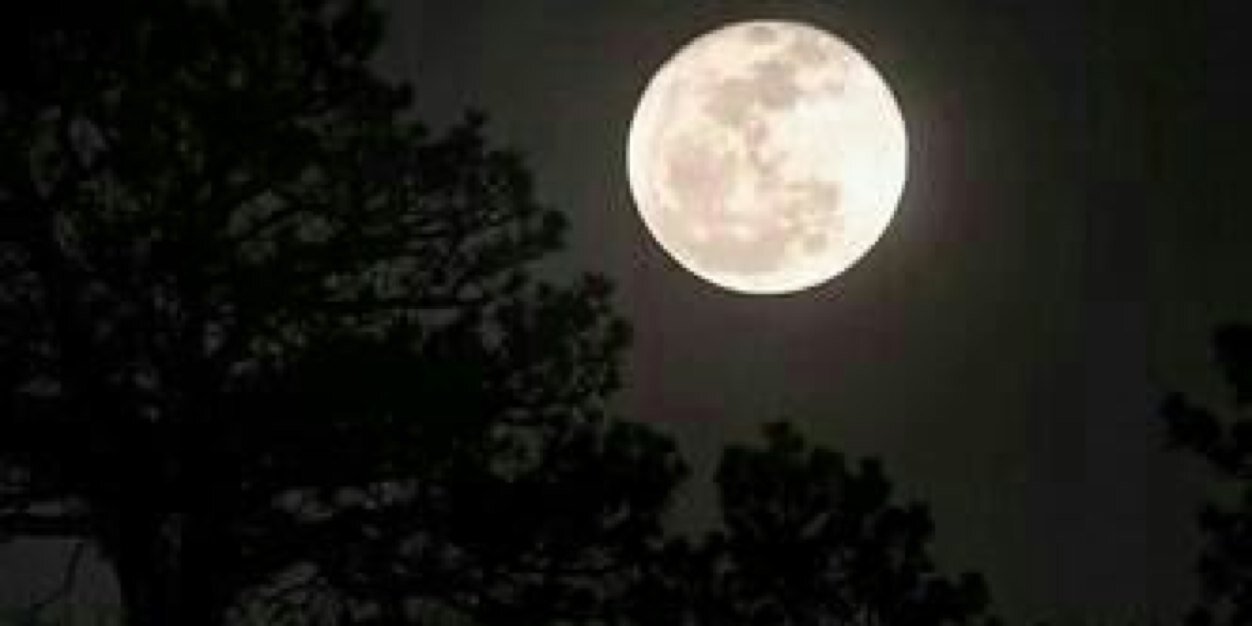 d49500240's profile banner image