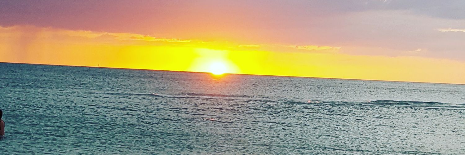 roxannametz's profile banner image