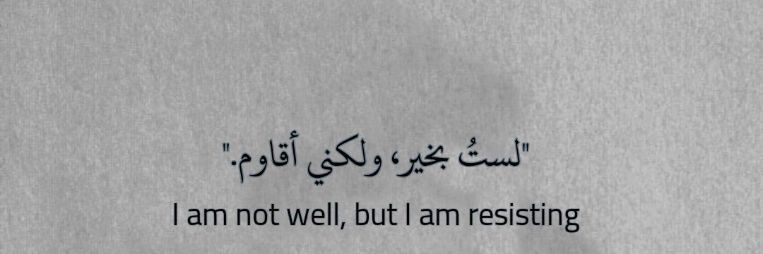 Lolymoustafa's profile banner image