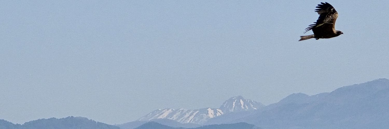 onmitsu_runout's profile banner image
