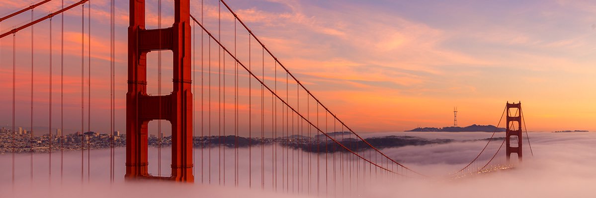 stanfordCYA's profile banner image