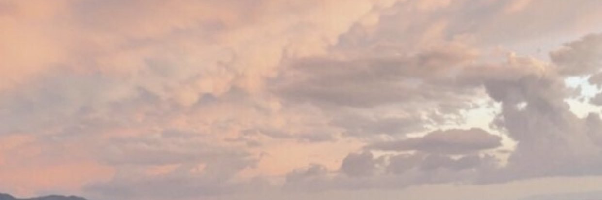 VoKristine's profile banner image