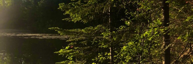 fxrroh's profile banner image