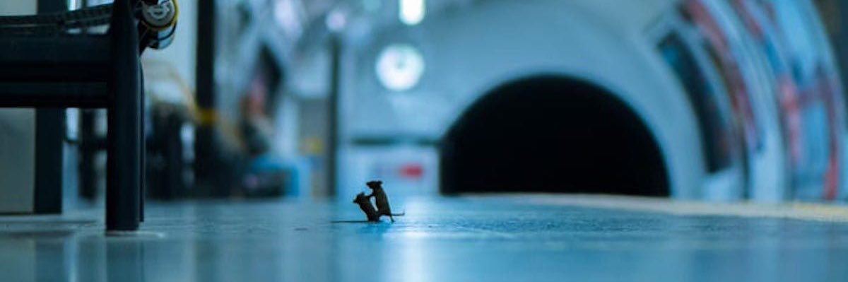 hotmessjess99's profile banner image