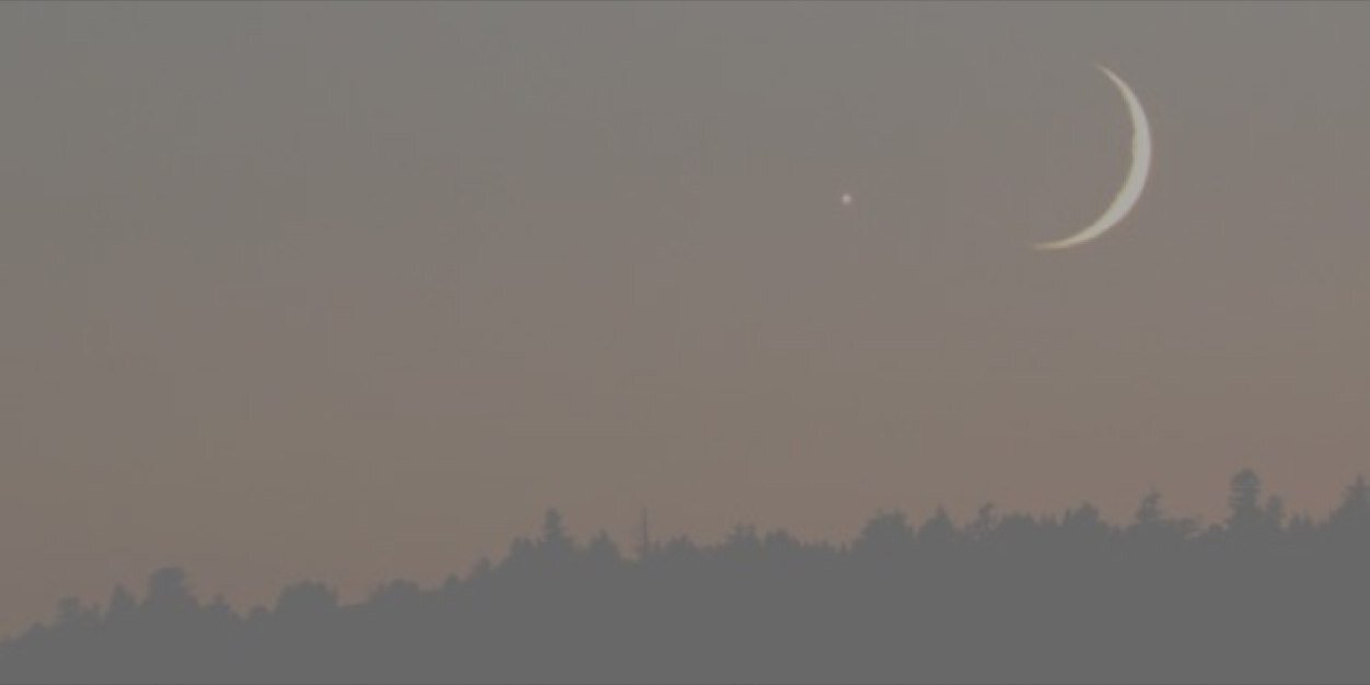 VioletFellCJF's profile banner image