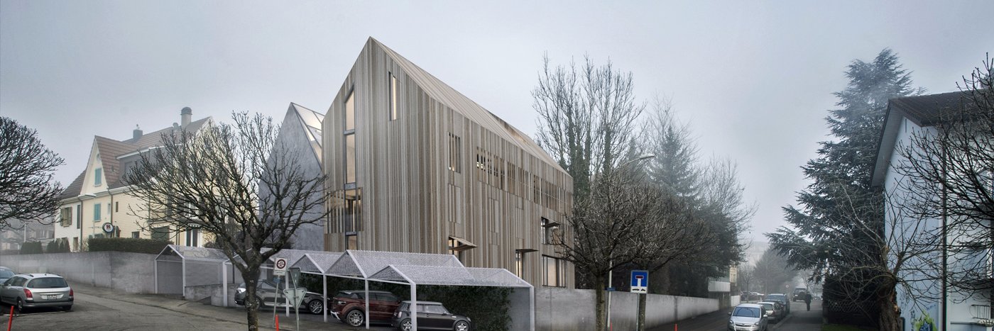 freedes studio banner