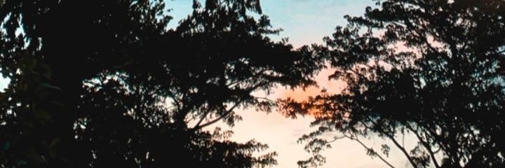 mayirago's profile banner image