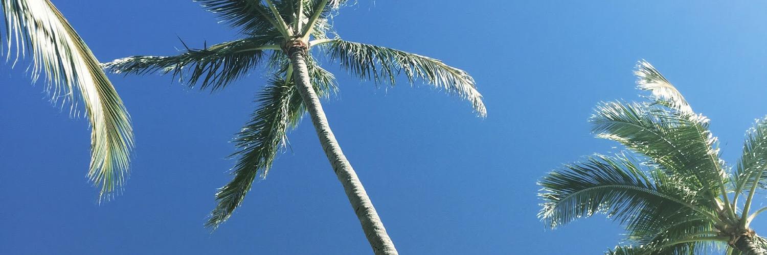 maimichele's profile banner image
