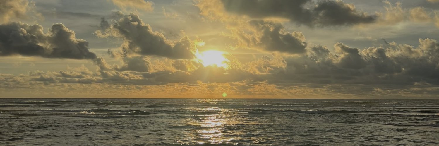 ralynaguillo's profile banner image