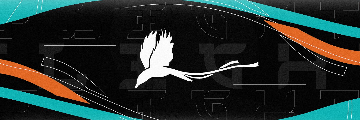 Flight Esports 🐦 banner