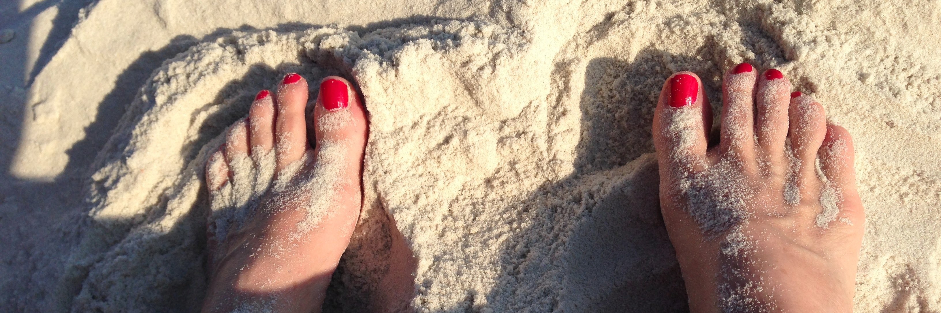 VickiMorese's profile banner image