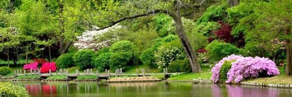 maxwell_fundi Profile Banner