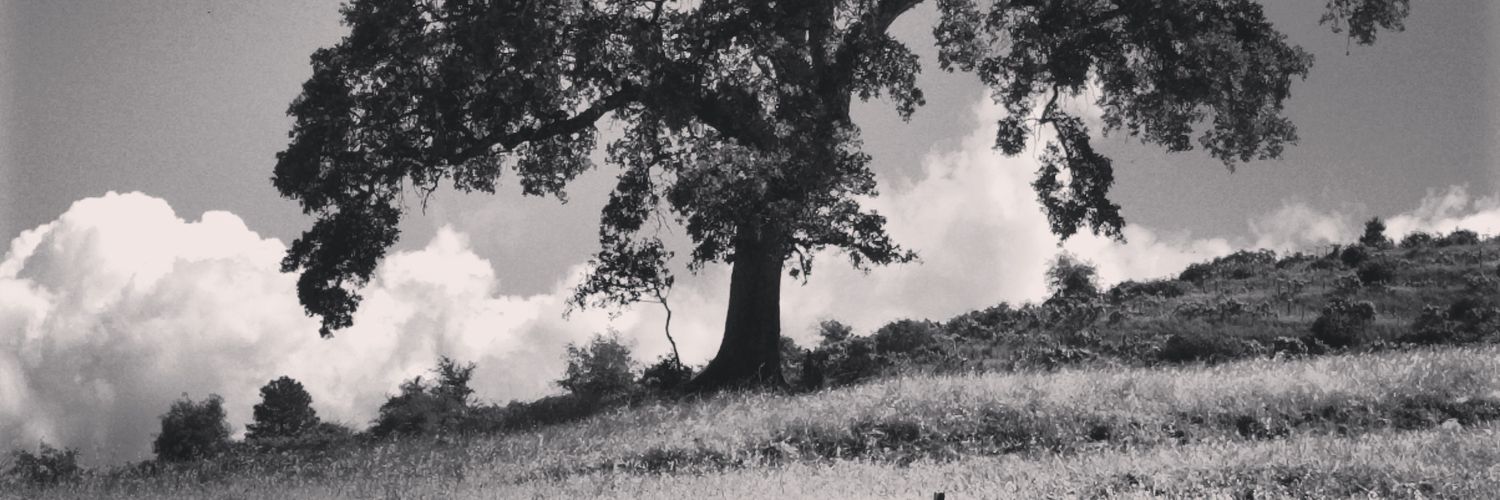 fantompower's profile banner image