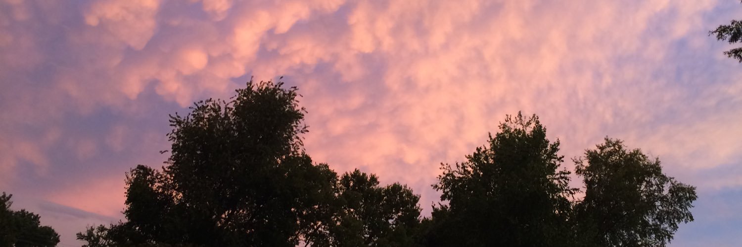 madidailey_'s profile banner image
