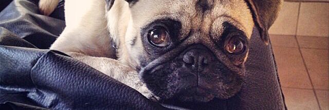 ManuelVelzquez4's profile banner image