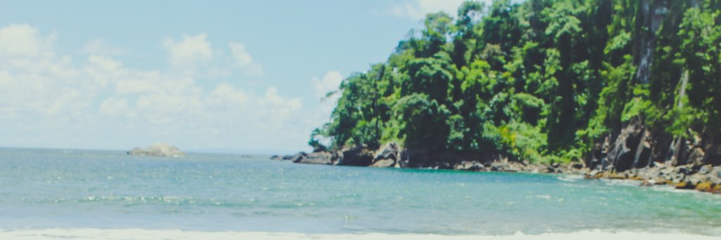 daynaHurson's profile banner image