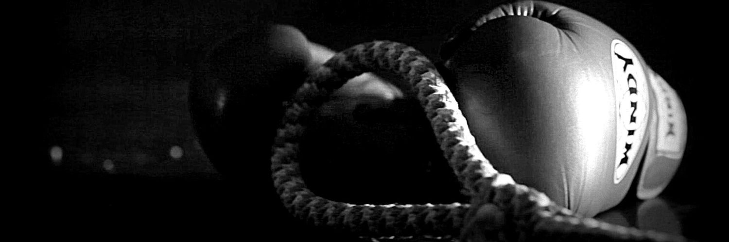 sati276's profile banner image