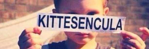 Vadik Coppini banner