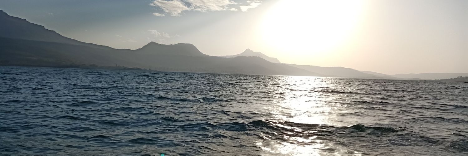 nupsy's profile banner image