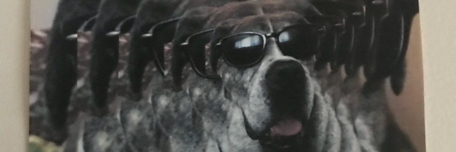 Dunnzos's profile banner image