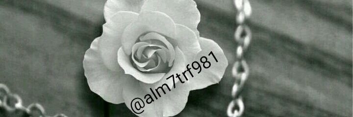 alm7trf981's profile banner image