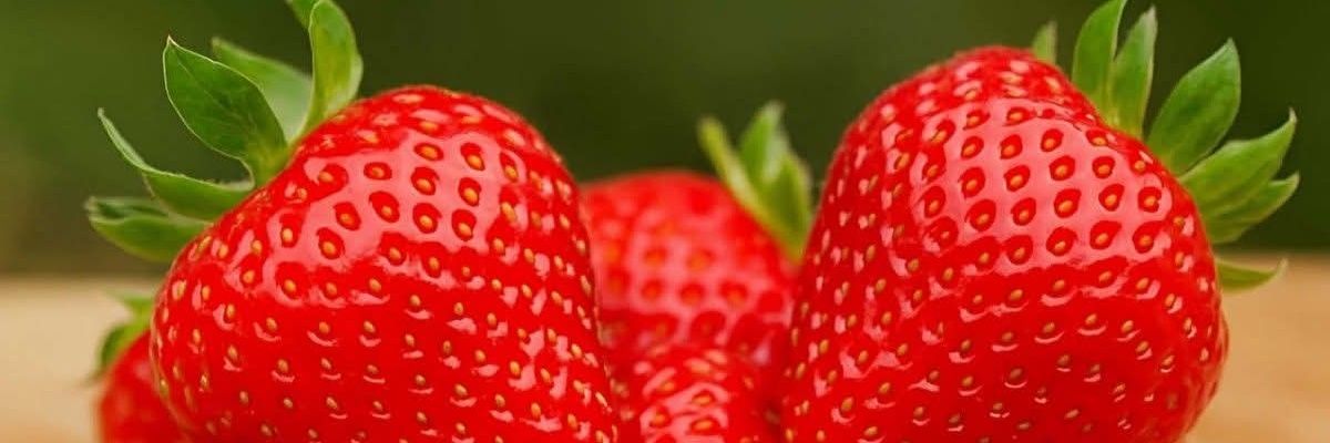 GEEBillygee's profile banner image